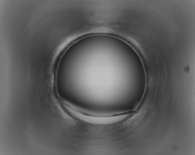 X0000090891414200708241952