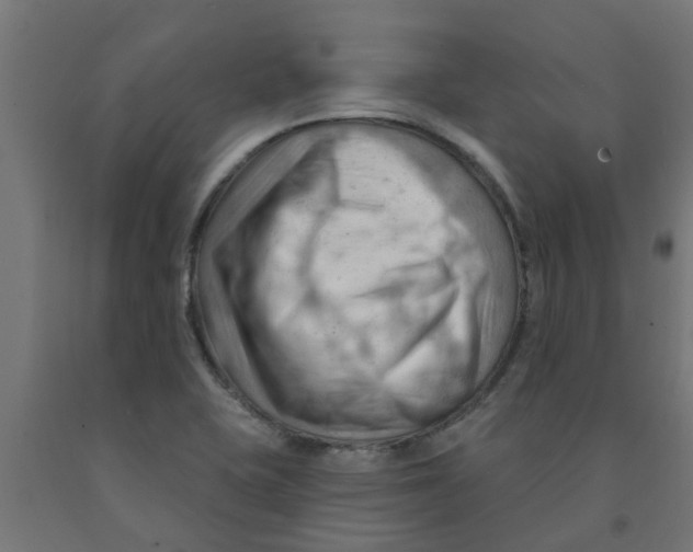 X0000090891415200708241952