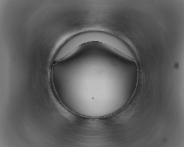 X0000090891416200708241952