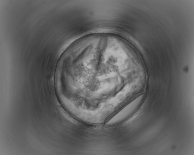 X0000090891417200708241952