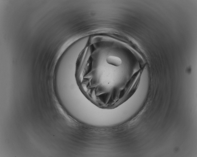 X0000090891418200708241952