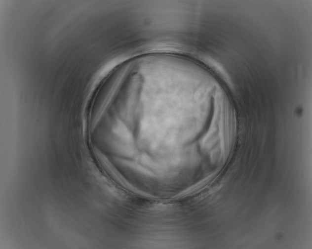 X0000090891419200708241952