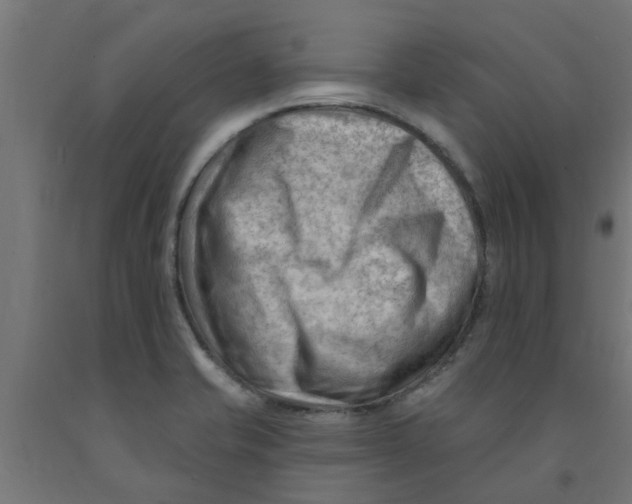 X0000090891421200708241952