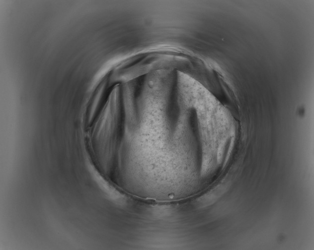 X0000090891422200708241952