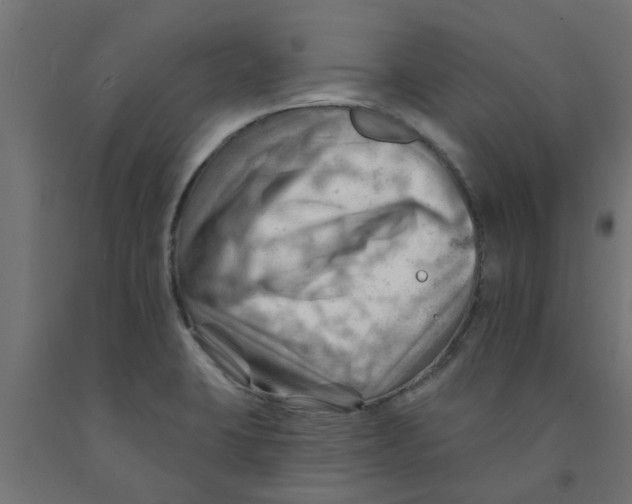 X0000090891423200708241952