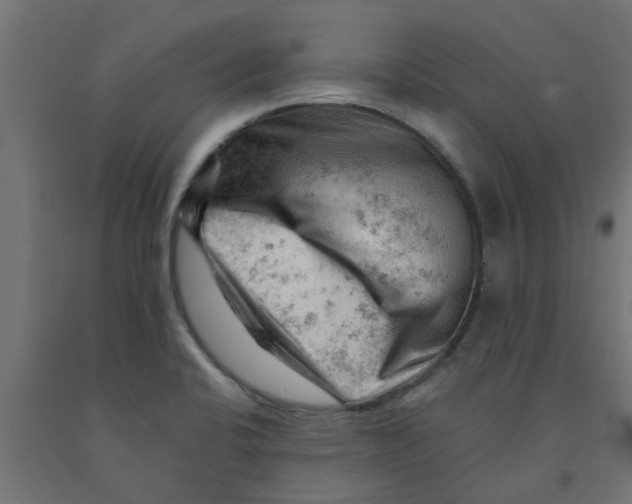 X0000090891424200708241952