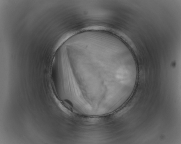 X0000090891425200708241952