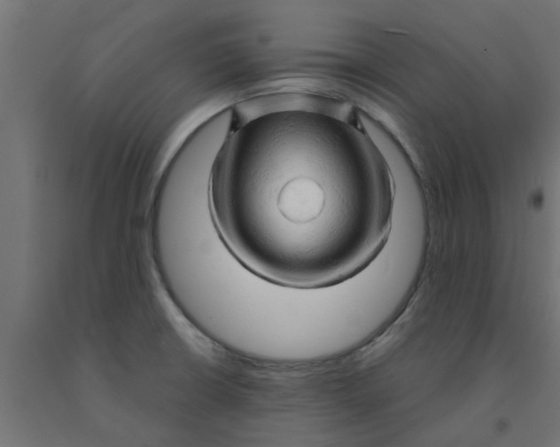 X0000090891426200708241952