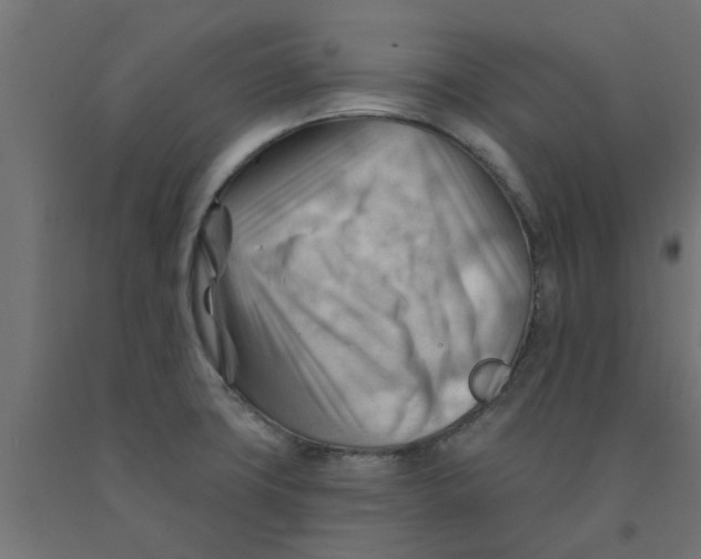 X0000090891427200708241952