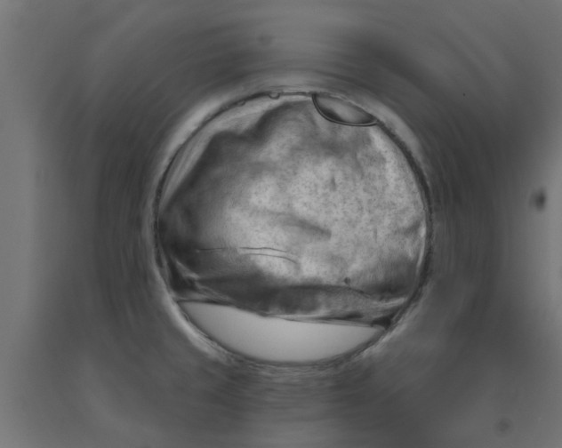 X0000090891429200708241952