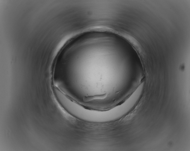 X0000090891430200708241952