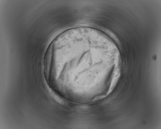 X0000090891431200708241952