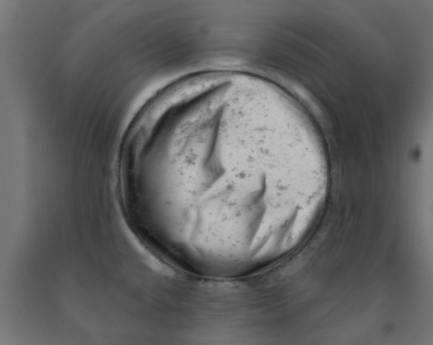 X0000090891432200708241952