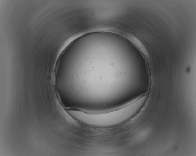 X0000090891436200708241952