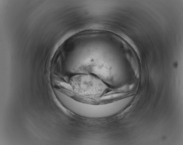 X0000090891437200708241952