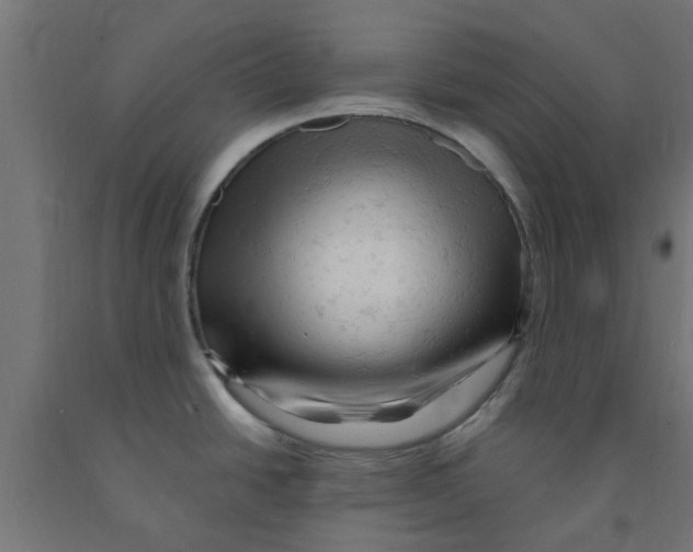 X0000090891438200708241952