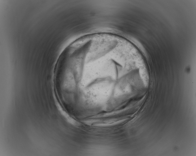 X0000090891439200708241952