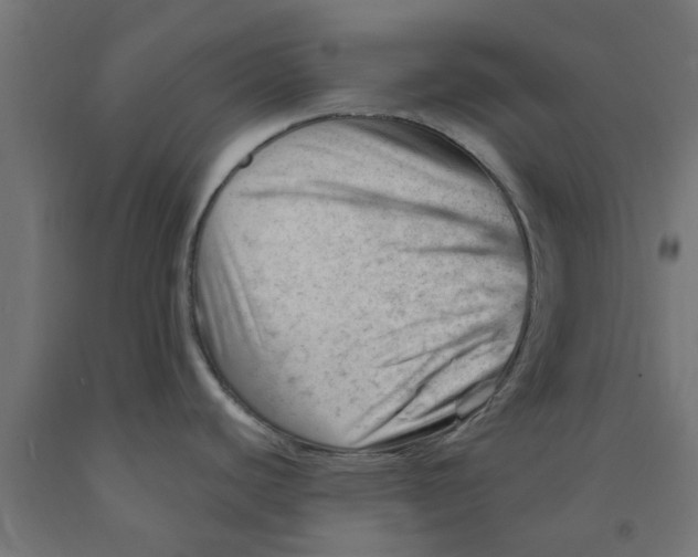 X0000090891440200708241952