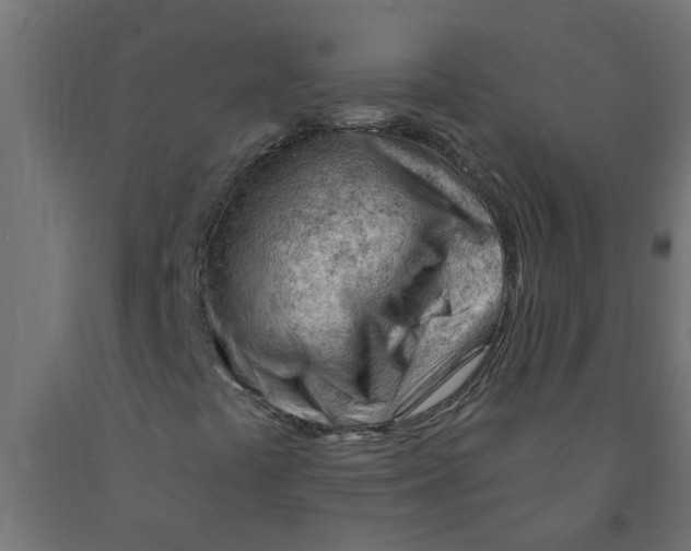 X0000090891441200708241951