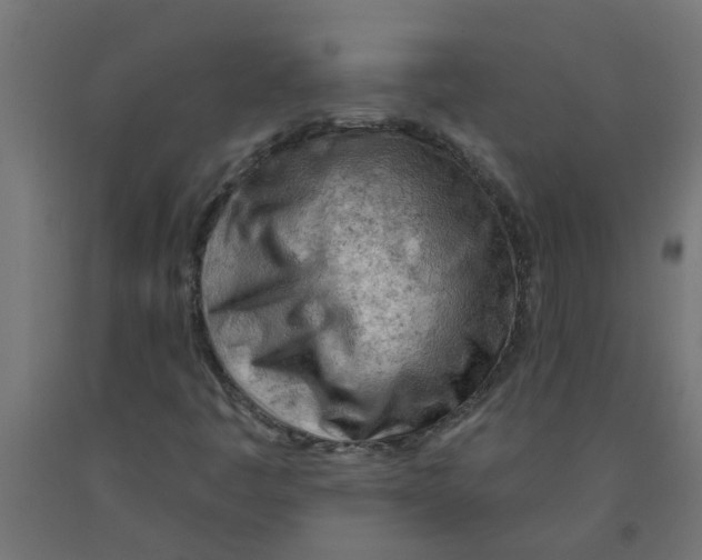 X0000090891445200708241951