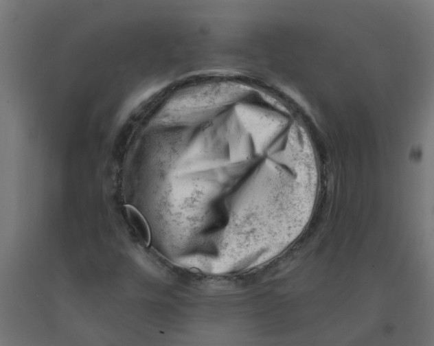 X0000090891448200708241951