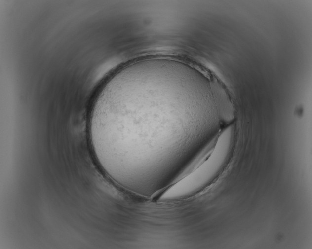 X0000090891450200708241951