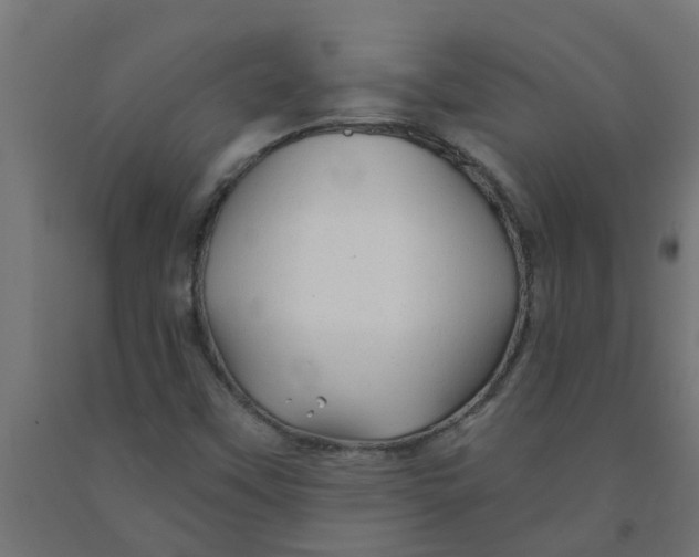 X0000090891451200708241951