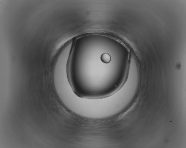 X0000090891453200708241951