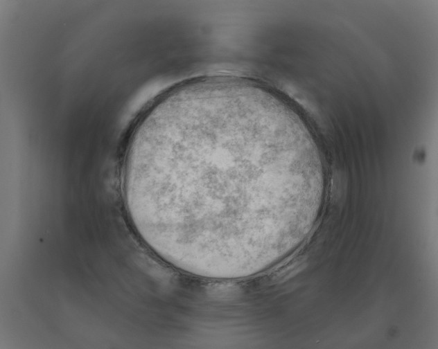 X0000090891454200708241951