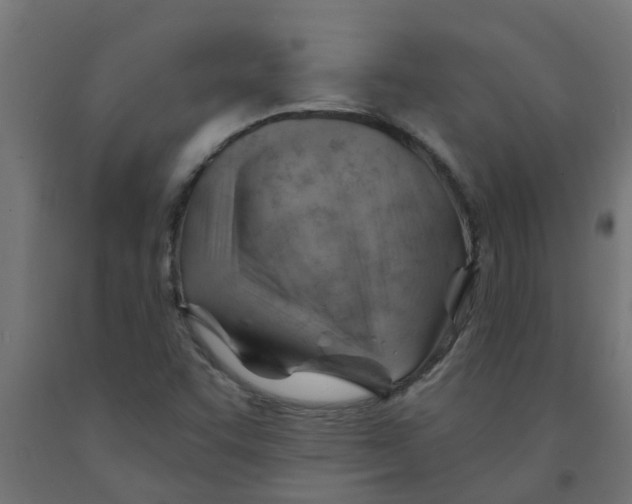 X0000090891455200708241951