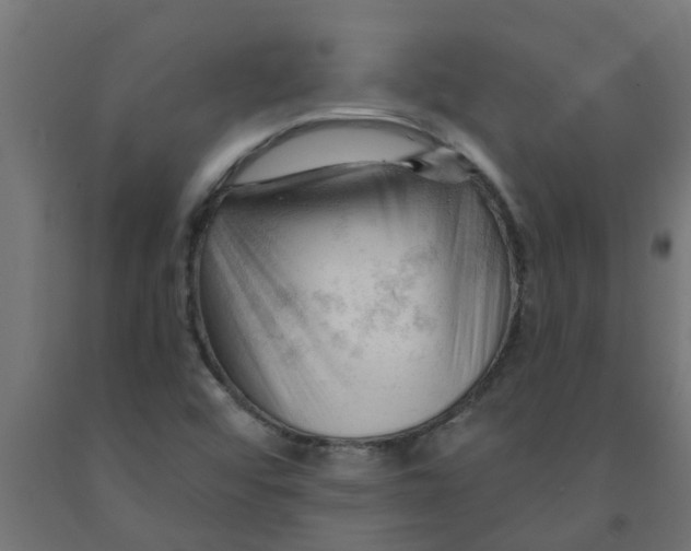 X0000090891456200708241951