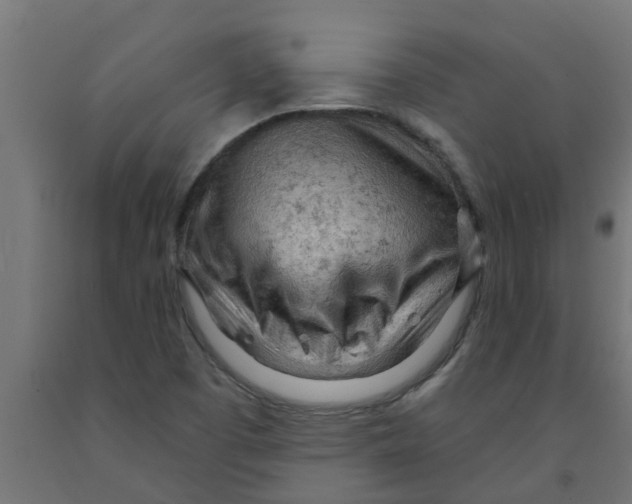 X0000090891457200708241951