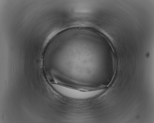 X0000090891459200708241951