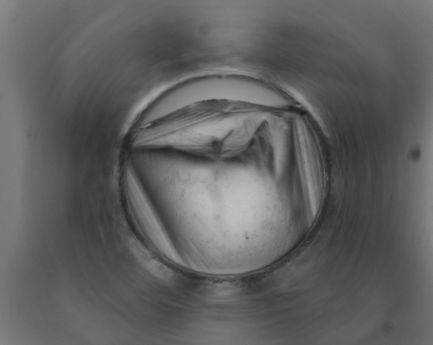 X0000090891460200708241951