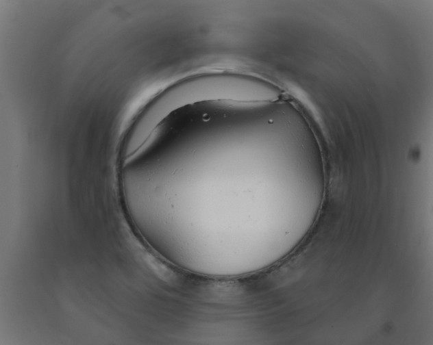 X0000090891464200708241951