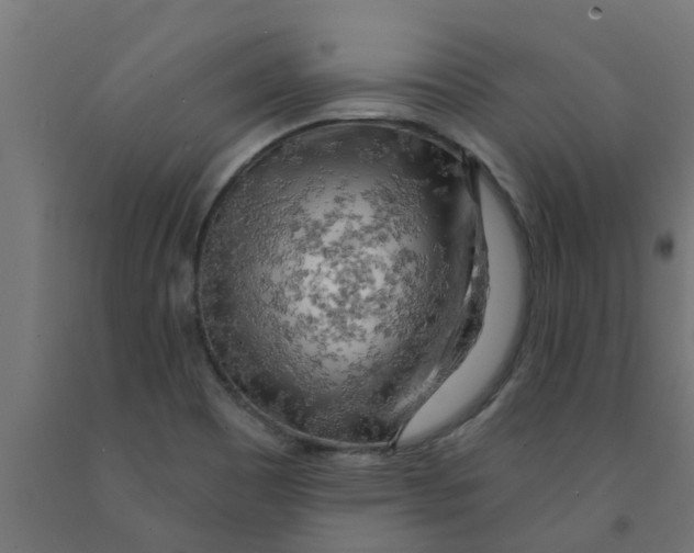 X0000090891465200708241951