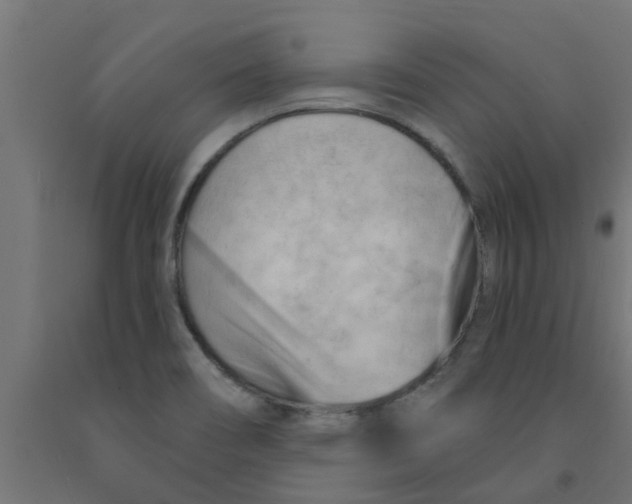 X0000090891466200708241951