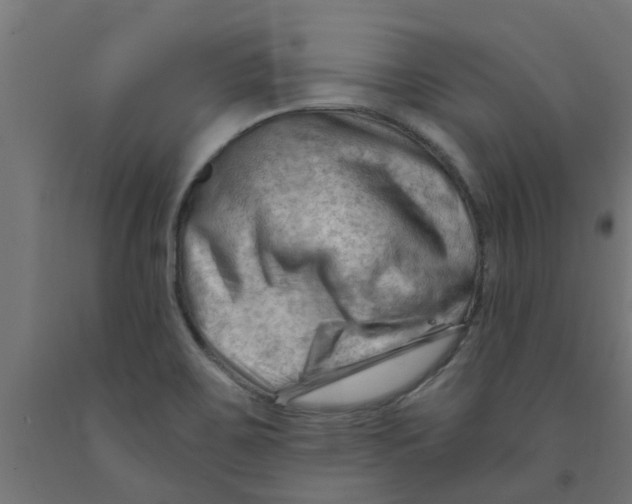 X0000090891467200708241951