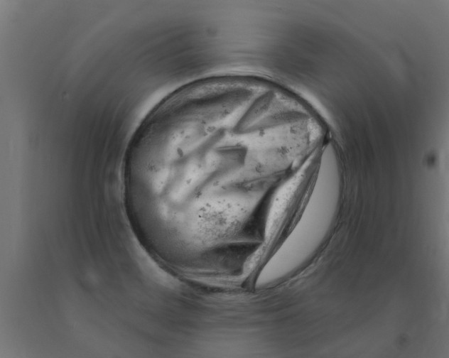 X0000090891468200708241951