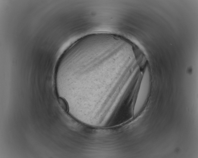 X0000090891469200708241951