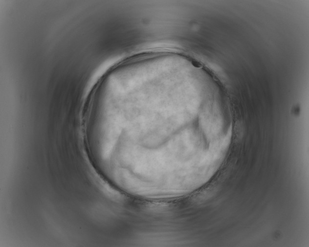 X0000090891470200708241951