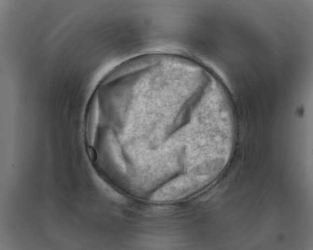 X0000090891471200708241951