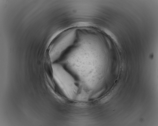 X0000090891473200708241951