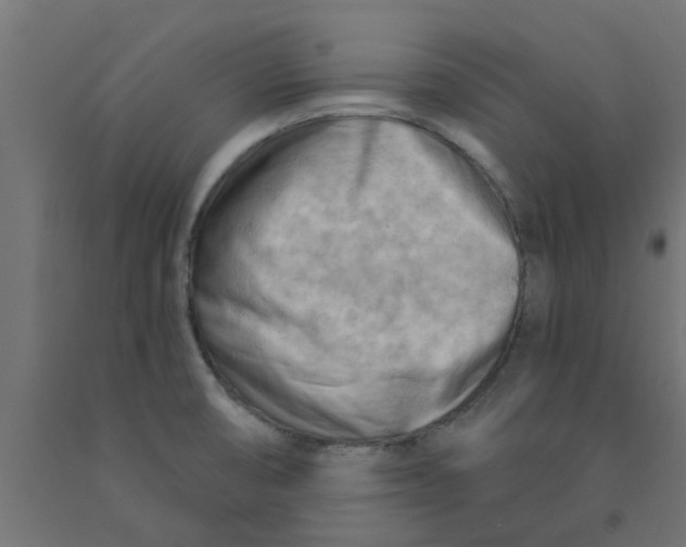 X0000090891474200708241951