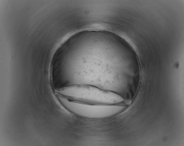 X0000090891477200708241951