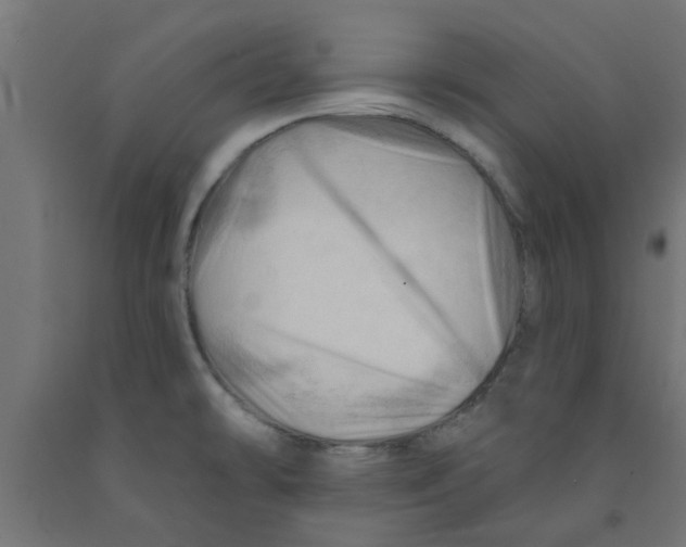 X0000090891478200708241951