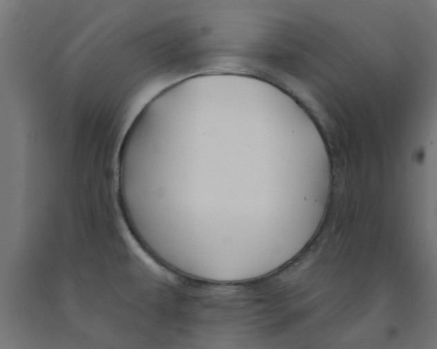 X0000090891479200708241951