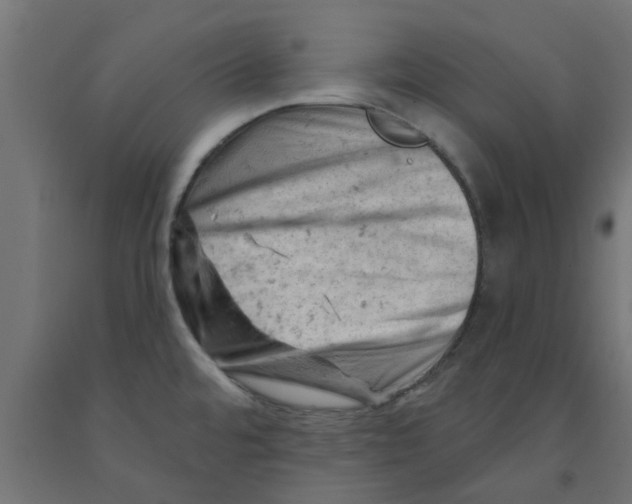 X0000090891480200708241951