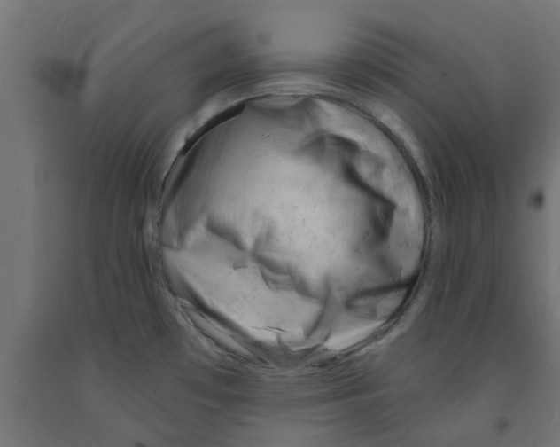 X0000090891481200708241951