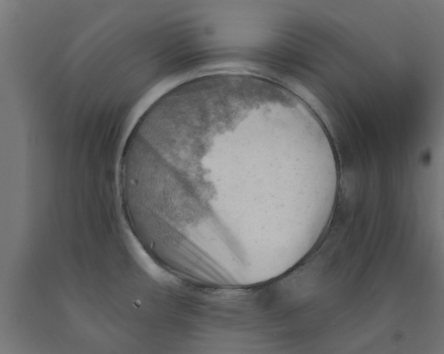 X0000090891482200708241951